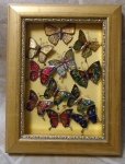 Butterflies Collage
